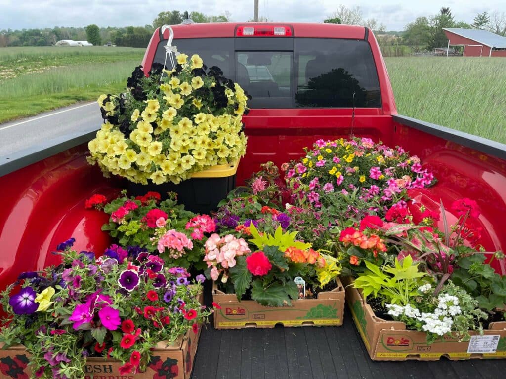 truck filled with flowers and plants
