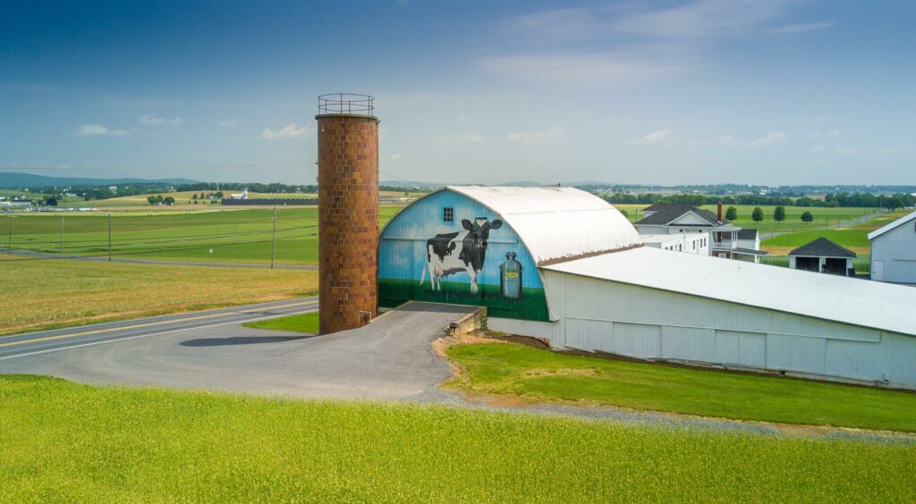 barn with cow mural