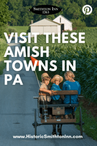 amish kids in a buggy