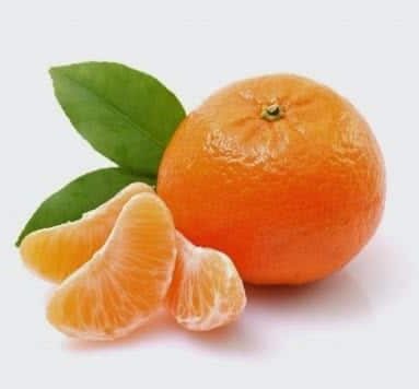 Orange-slices