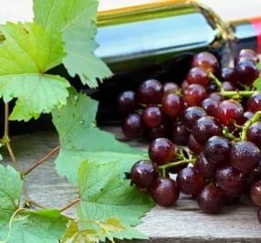 Wine-and-grapes