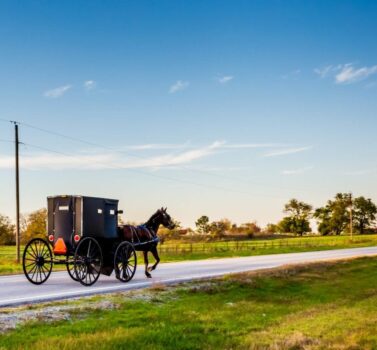 Horse and Buggy on Country Highway in Amish Country | Amish attractions in Lancaster, PA