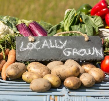 Find out why you must visit the farmers market in Lancaster, PA!
